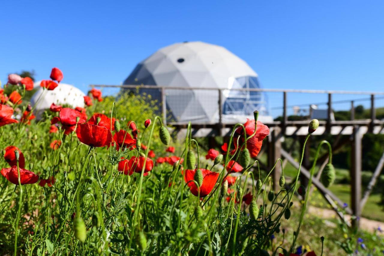 Reserva Alecrim Ecosuite & Glamping Santiago do Cacém Eksteriør billede